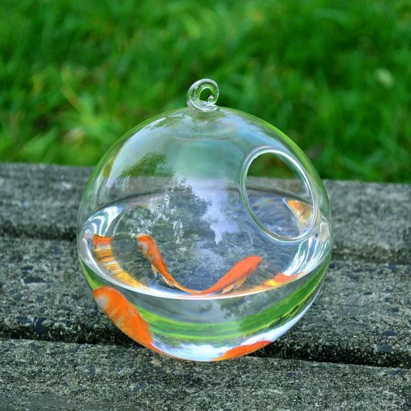 Hanging Glass Vase Fish Tank - Dog Hugs Cat