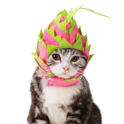 Pitaya Fruit Design Pet Hat Dog Cat Puppy Halloween Party Costumes - Dog Hugs Cat